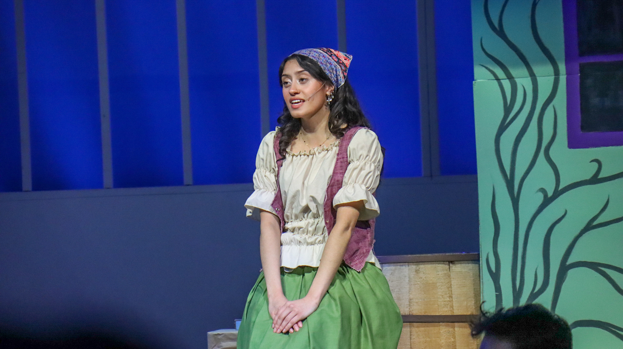 A performance of Cinderella by the Chelsea High School Drama Club in April of 2025